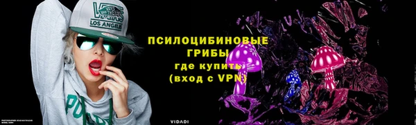 прущий лед Кодинск