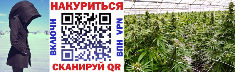 kraken   Голицыно  Марихуана план  мориарти клад  как найти закладки 
